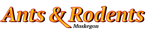 Muskegon Ant Exterminator & Rodent Control Company Logo